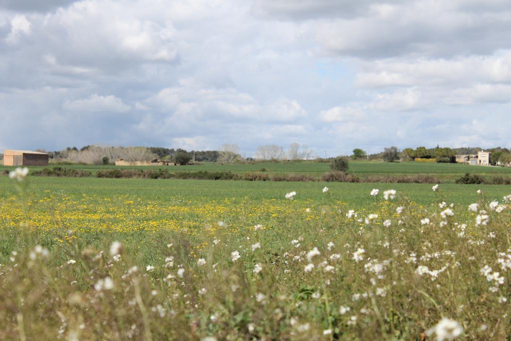 L'Essencia De L'Emporda -Girona- Daire Verges Dış mekan fotoğraf